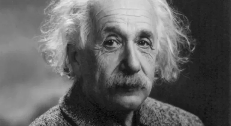 albert einstein brain study