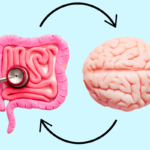 Gut-Brain Connection: Is Your Second Brain in Your Stomach?