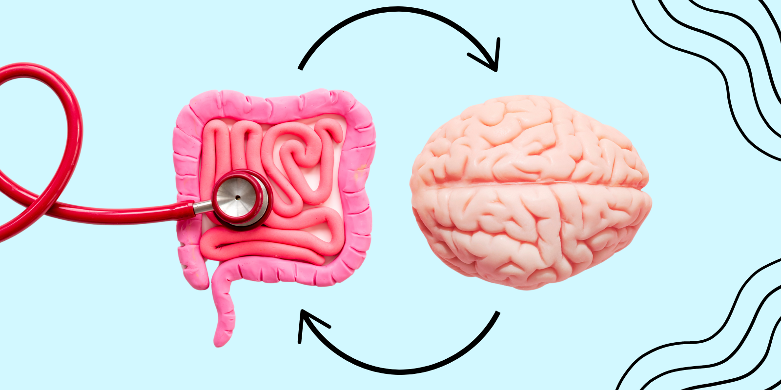 Gut-Brain Connection: Is Your Second Brain in Your Stomach?